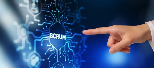 SCRUM methodology for organizing a joint work process