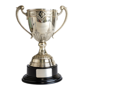 Classic championship trophy with a polished wooden stand.