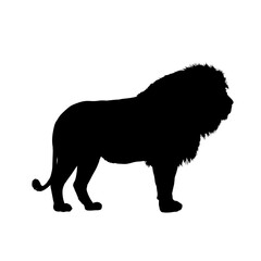 Silhouette of an African lion - vector illustration