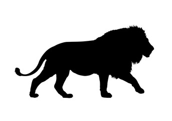 Silhouette of an African lion - vector illustration