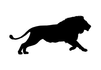 Silhouette of an African lion - vector illustration