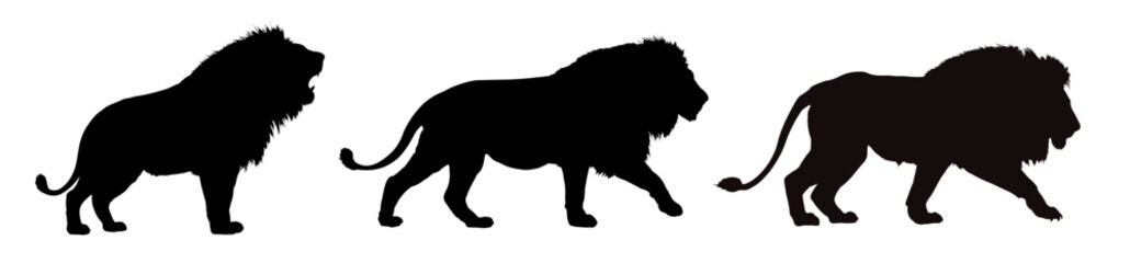 set of african lion silhouettes - vector illustration