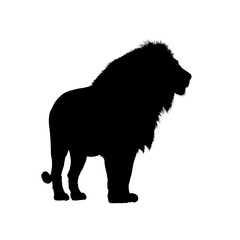 Silhouette of an African lion - vector illustration