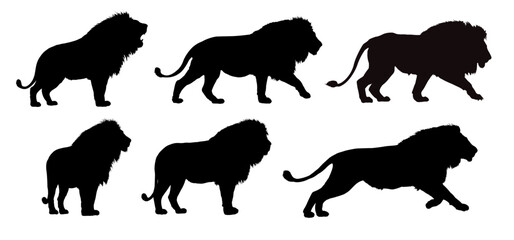Fototapeta premium set of african lion silhouettes - vector illustration