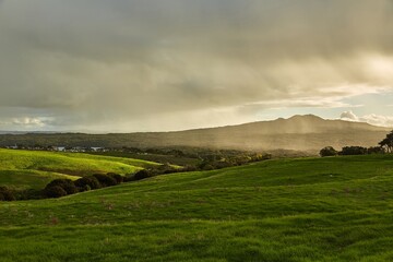 Obraz premium Green landscape with coming rain in New Zealand