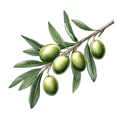green olives with leaves