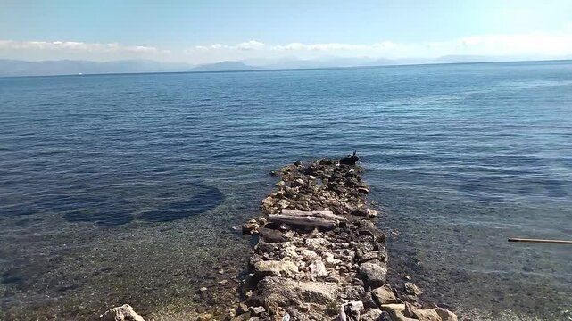 Great cormorant sits pompously on the edge of a stone path, with the sea in the background and turns its head. The sun's rays playfully reflect in the sea water. White clouds float slowly on the dista