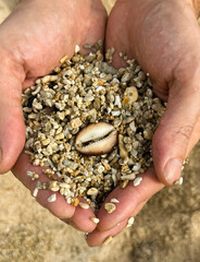 a handful of sand in the palms of your hands and a shell