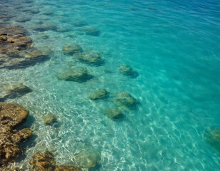 Fototapeta premium Crystal-clear water surface with subtle waves, natural reflections, bright and fresh look, professional stock photo style