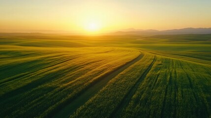 Fototapeta premium Drone flying over green field at sunset, capturing stunning aerial views.