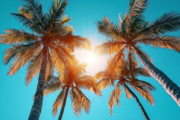 Sunlight Beaming Through Palm Trees Against a Clear Blue Sky