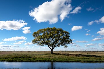 Lone Tree with Autumn Meadow, and Blue Sky.