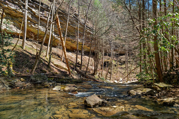 Downstream through the canyon