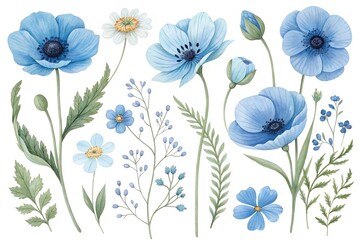 Watercolor blue and white flowers