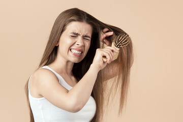 Frustrated young woman trying to brush her tangled long hair against beige background
