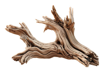Intricately Knotted Desert Drift wood Piece for Home Decor  isolated on transparent background , cutout