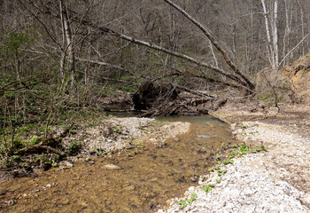 a fragment of a mountain river on a shallow riverbed, the time of the year in nature