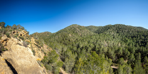 Panoramic view of El Valle y Carrascoy Natural Park in Murcia, Murcia Region, Spain, with its pine forest in daylight.
