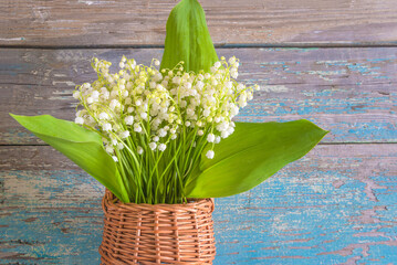 May day concept; bouquet of lilies of the valley flowers in wicker basket on blue old paint wooden background