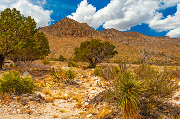 Guadalupe Mountains National Park in Texas State has beautiful desert scenery and hiking trails. 