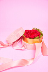 Rose flower in a round box on a pink backdround