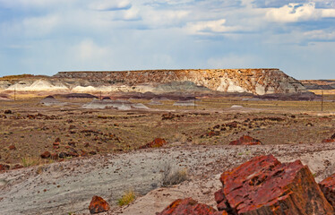 Petrified forest National Park, located in Arizona, is best known for Painted Desert and fossils.