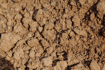 A detailed close-up of earth texture, revealing a mix of coarse and fine particles. The earth appears dry and crumbly, with a light brown hue. Ideal for backgrounds, natural textures.