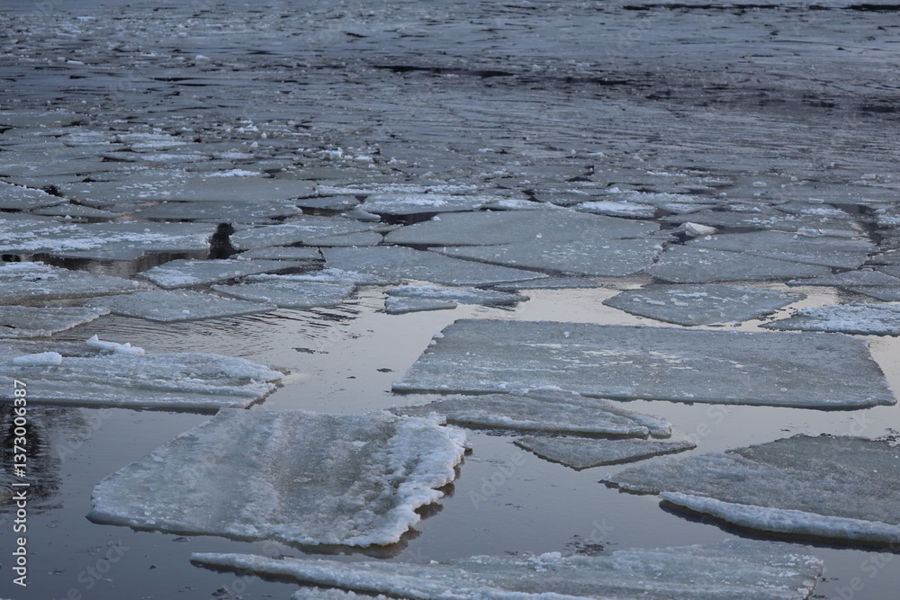 Poster a group of ice pieces floating on top of a puddle, possibly in a natural environment.