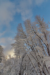 Snow landscape photography of the Llaima volcano in Chile