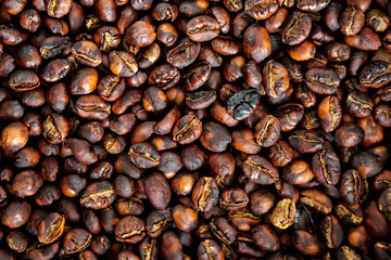 Café fraîchement torréfié