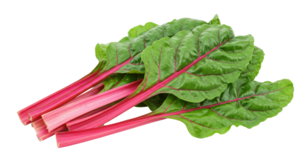 Isolated Fresh Swiss Chard