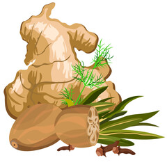 spices no background vector image