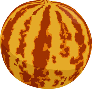 Tiger-Melone mit auff&auml;lliger Musterung &ndash; s&uuml;&szlig;, aromatisch und eine exotische Melonensorte.
