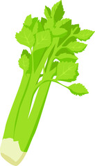 Obraz premium Grüner Stangensellerie mit zarten Blättern – knackig, aromatisch und vielseitig einsetzbar. 