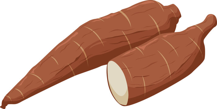Zwei Yuca-Wurzeln, eine angeschnitten &ndash; st&auml;rkehaltiges Wurzelgem&uuml;se, ideal zum Kochen oder Frittieren.