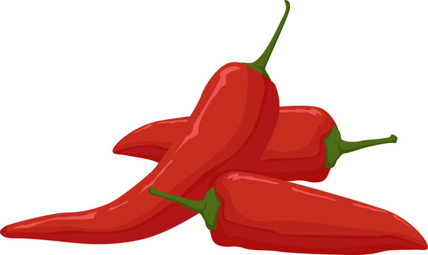 Mehrere rote Chilischoten &ndash; scharf, intensiv und perfekt f&uuml;r W&uuml;rze in pikanten Gerichten.