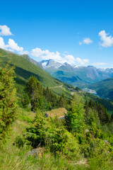 Naklejka premium Nature in fjords. Rakssetra, Norway. North. Traveling on a Norwegian fjord. Scandinavia. Traditional old settlement un the forest. Vacation and travel in summer Norway.