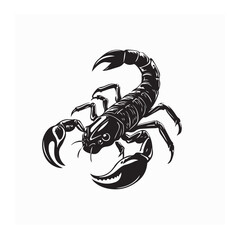 Scorpion Vector Images. Illustration of a Scorpion Vector Images on white background.