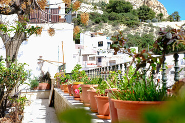 Charming mediterranean terrace with lush potted plants in sunlit urban setting