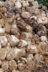 Verdorbenes Brot