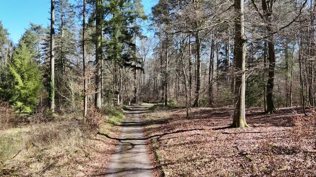 Start einer Drohne in einem Wald