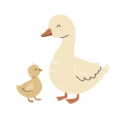 cute ducks . duck and duckling illustration farm birds . geese
