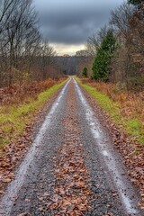 Fototapeta premium Gravel path leads through autumn woods under moody sky.