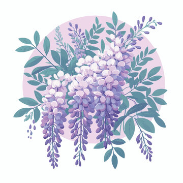 wisteria flowers purple blooms on pink background clip art preview