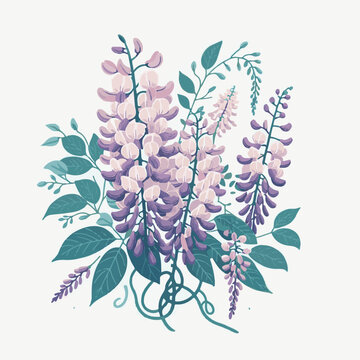 purple wisteria flowers on white background clip art preview