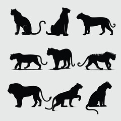 Set of Majestic Tiger Silhouettes in Various Poses and Dynamic Movements for Wildlife Artwork
