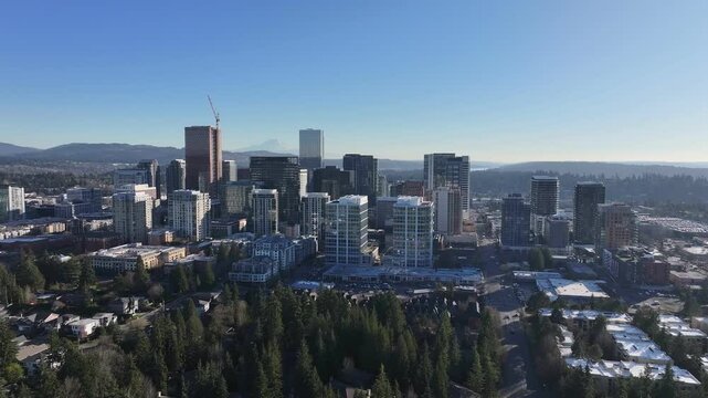 	Bellevue Way NE 