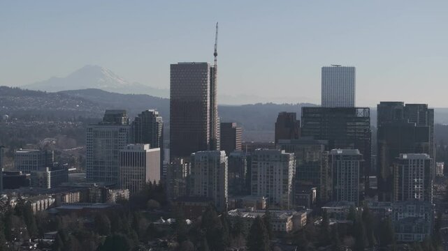 Bellevue Way NE 