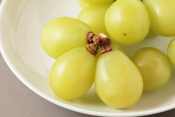 小房に分けたシャインマスカット