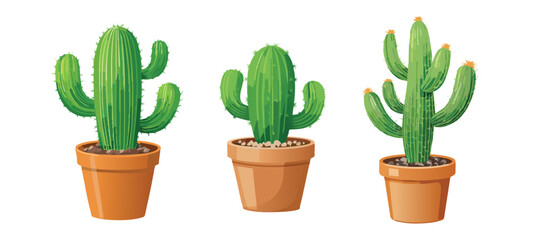 Cactus plants set, vector illustrations. 